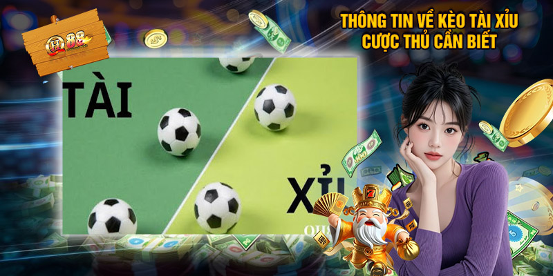 Thông Tin Về Kèo Tài Xỉu Cược Thủ Cần Biết