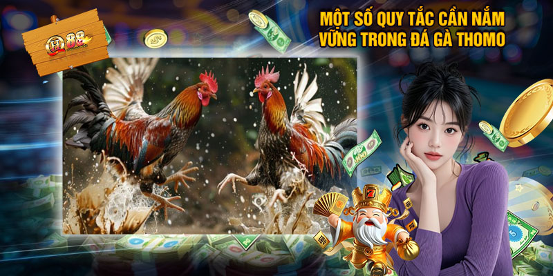 Một số quy tắc cần nắm vững trong đá gà Thomo