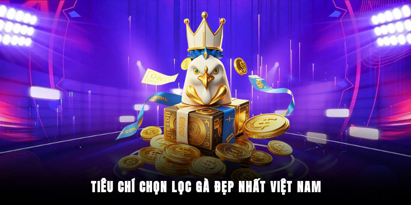 Các tiêu chí đánh giá gà đẹp nhất Việt Nam